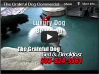 The Grateful Dog - Bed and Breakfast